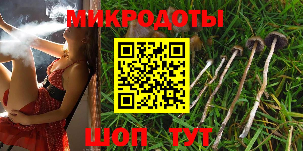 Галлюциногенные грибы Psilocybine cubensis  Галлюциногенные грибы мицелий  Вход с VPN  Волгоград 